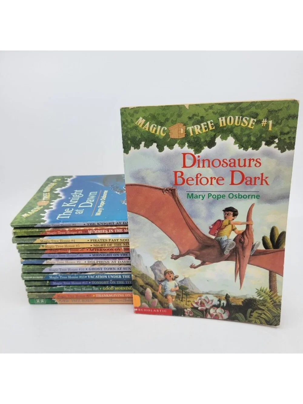 MAGIC TREE HOUSE Lot of 14 Chapter Books by Mary Pope Osborne
